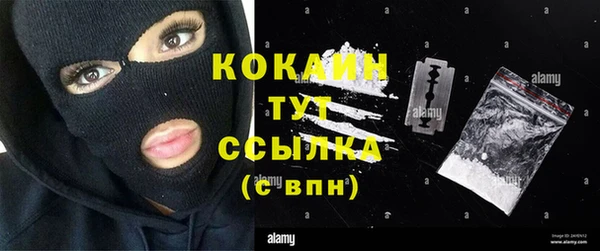 прущие крисы Медвежьегорск