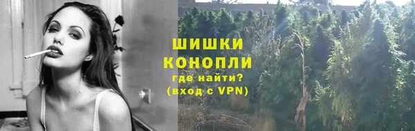 индика Магас