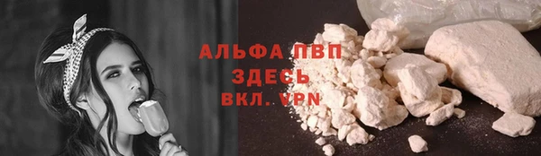 прущие крисы Медвежьегорск