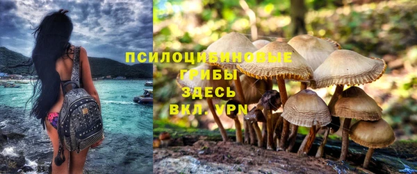прущие крисы Медвежьегорск