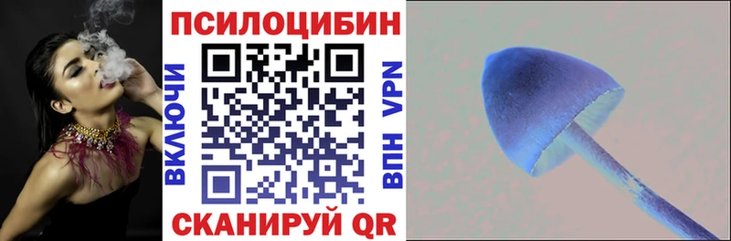 ссылка на мегу сайт  Нестеров  Псилоцибиновые грибы мицелий  наркота 